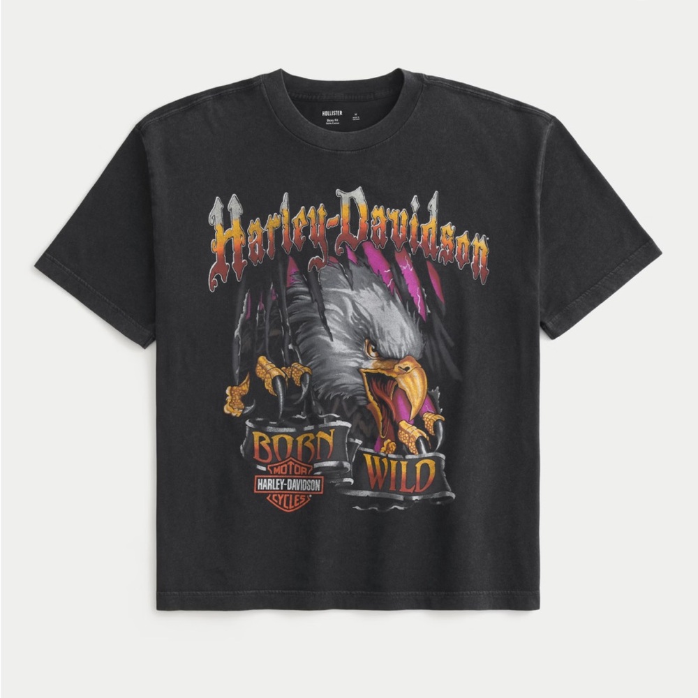 Harley-Davidson x Hollister boxy Tee with Eagle